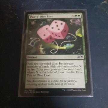 �p���_�C�X���X�g�@