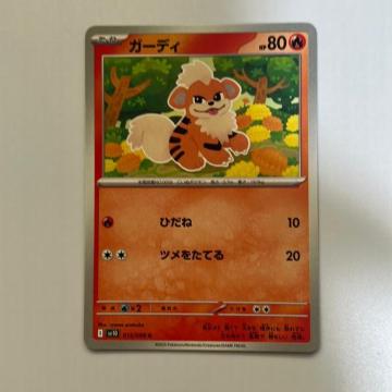 �|�P�����J�[�h�@�K�[�f�B