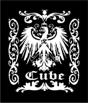CUBEEL[uޖ̓IWiXebJ[
