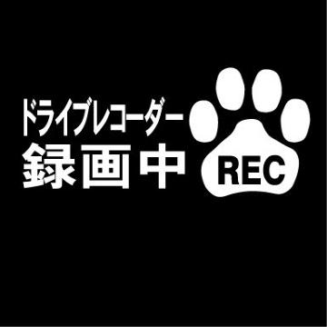 肉球 ドライブレコーダー録画中