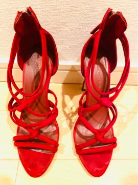 ZaraCbh҂ݏグT_obNXLU[XAbv