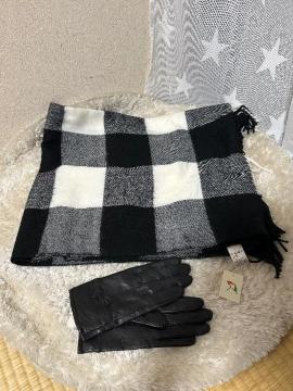 �V�i�^�O�t��Arnold Palmer�X�g�[��& ELMA�r�v���{���t���_�炩�O���[�u