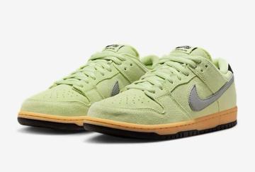��NIKE SB DUNK LOW��