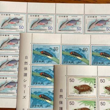 247���������L�O�؎�3000�~��(50�~�؎�)