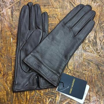 Vi U6 {v܁@rv@fB[X@}Io`m@Œ@͂19cm ubN@@SݓX@H~@V[v@⏬