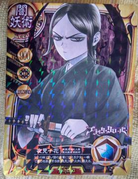 ׯ۰ް`w錩ԁx̃J[h