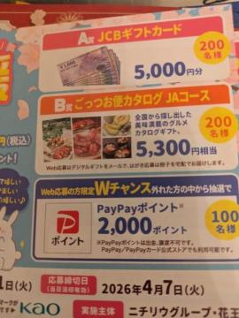 �^�C�A�b�v�J�^���O�M�t�g�������郌�V�[�g1����