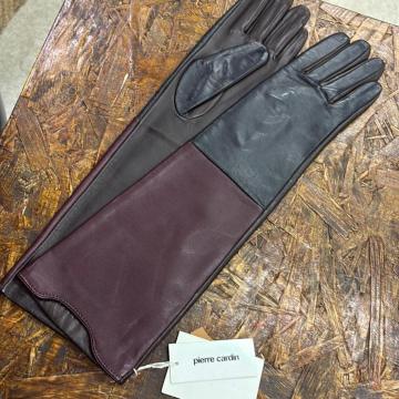 Vi@6 {v܁@wl܁@sG[J_ cardin ͂20cm O^Cv@܁@~@SݓX܁@X}[g