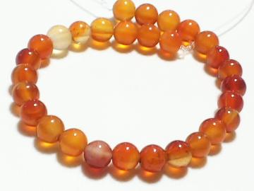 �V�R�΁��J�[�l���A���@���E���h�U�����@���A