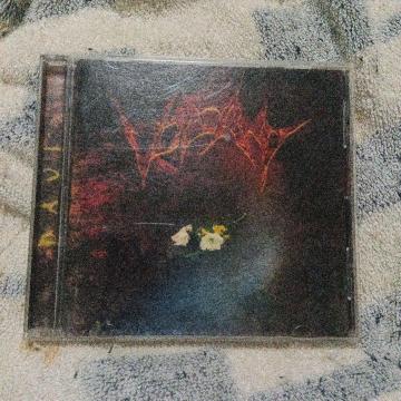 VOLCANO�^DAVI �r����