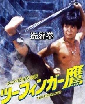 ☆ツーフィンガー鷹☆洗濯拳 ユンピョウ
