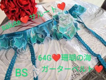 Wacoal/R[/salute/T[g/vXe[W/64G/X̊C/K[^[xg/BS/GTJ664/ꐯ/gC