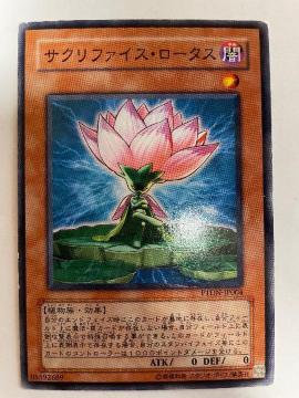 遊戯王【闇・サクリファイスロータス】