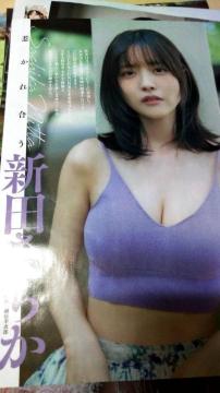 �V�c�������؂蔲��