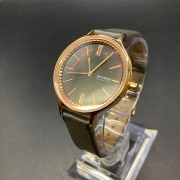 ���� SKAGEN �X�J�[�Q�� �r���v SKW2909