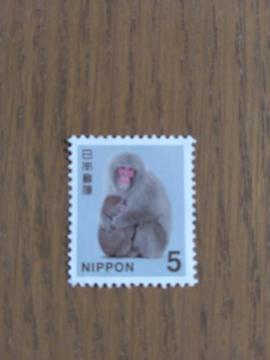 ���g�p�@���ʐ؎�5�~��1�� ����