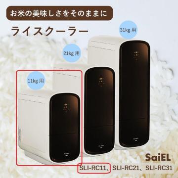 ۗĂт@CXN[[@11Kg@퉷ۑ@