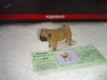 �t���^  �y�b�g����2  �p�O   �t�H�[��