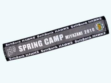 y\tgoNz[NXz{Lv2010 }t[^I