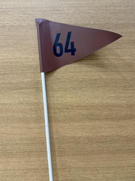 ���ዾ�̃S�[�J�[�g�̊��i�����j