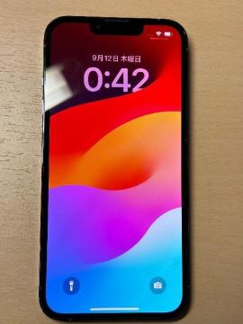 iPhone 13 Pro 1TB COSIMt[ VGu[ 1024GB  Apple Store`FbN