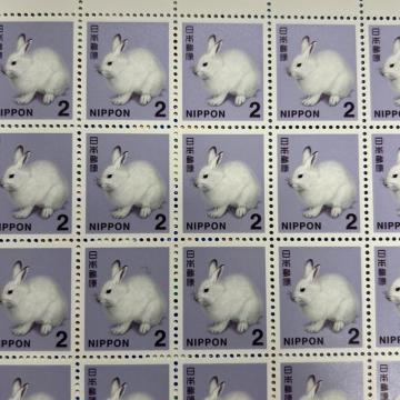 2�~�؎�@1��  ���g�p�@�~�j���^�[����