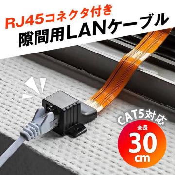 ԗp LANP[u 30cm p  tbgP[u RJ45 z Hsv CAT5Ή 100BASE-TX 