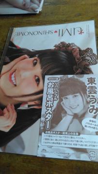 ���_���݂̂����C�|�X�^�[