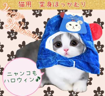 猫用★ネコちゃん用★ほっかむり★変身グッズ★富士山★ネコ忍者★ハロウィン★可愛い★ペット用仮装グッズ★ペット★新品未使用★送料無料