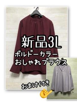 Vi3L{h[{[uEX{I}P1􂫂ꂢ߁Q528