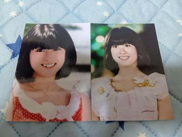 �͍��ޕێq�ʐ^�Z�b�g