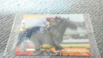 �\���O���C�����̃J�|�h�i���n)