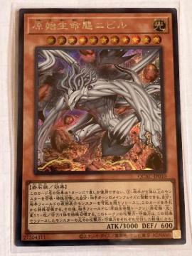 VY nԃjr QCAC-JP010 CXgႢ V[NbgA