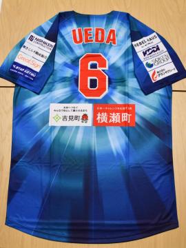 #6 c PI蒅pEMTC ̃xA[YKXłDAY胆jz[