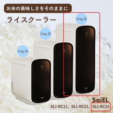 ۗĂт@CXN[[@31Kg@퉷ۑ@