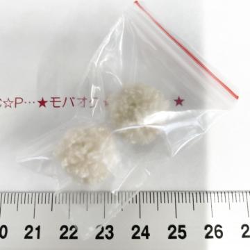 25*���ߺ�����������́@21