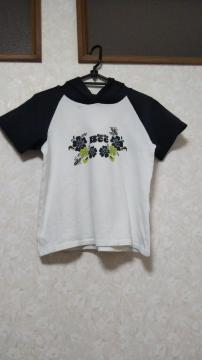 Ôp[J[ wLx