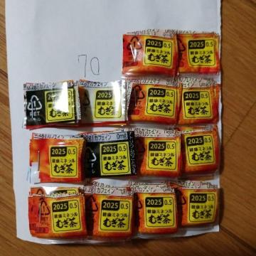 �ɓ��������@70�|�C���g