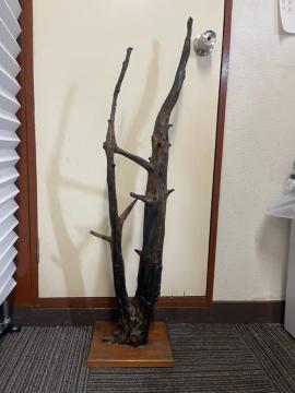 �y������101cm�z�V�R�� ���؃I�u�W�F ����t�� ��_�� �a���_�� �C���e���A