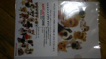 THE  DOG  /IWiNAt@C^Vi/q炯