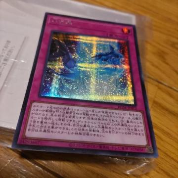 VY XE V[Nbg