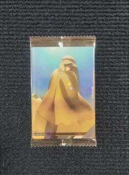 �K���_���@�C�^�W���K�J�[�h�@�A�����E���C