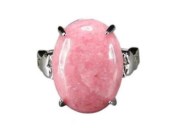 ��_�����[�h�i�C�g�w�֑嗱�V�R�Ώ��������O��15���K�N�P��U0648Za