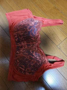 �u���W���`(*^_^*)