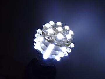 T20^36ALED_uEFbWou zCg