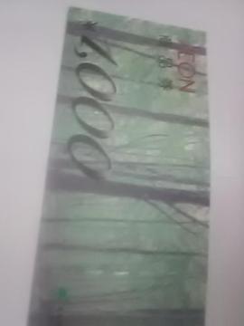 CIi1000