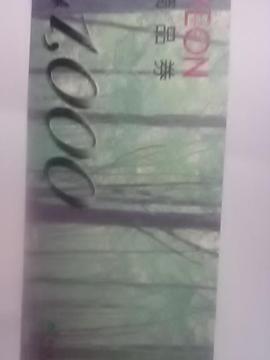1000~CI