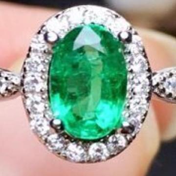 �V�R�G�������h�����O �@ 4�~6�����@�����@�V�R�@�i�`�������@�A�N�Z�T���[�@�J���[�X�g�[���@��΁@S0_7273�@