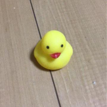 �A�q���̂�������