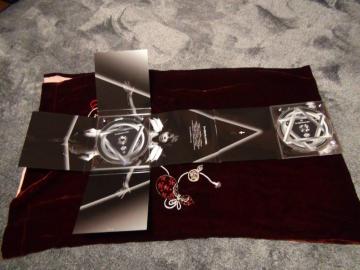 V y񐶎YB (CD+DVD)zM !B